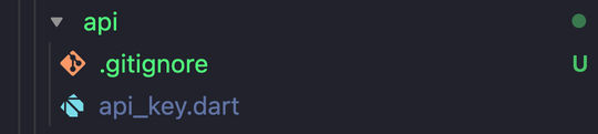 File explorer after adding api_key.dart to .gitignore