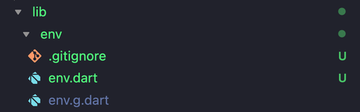 File explorer after adding api_key.dart to .gitignore